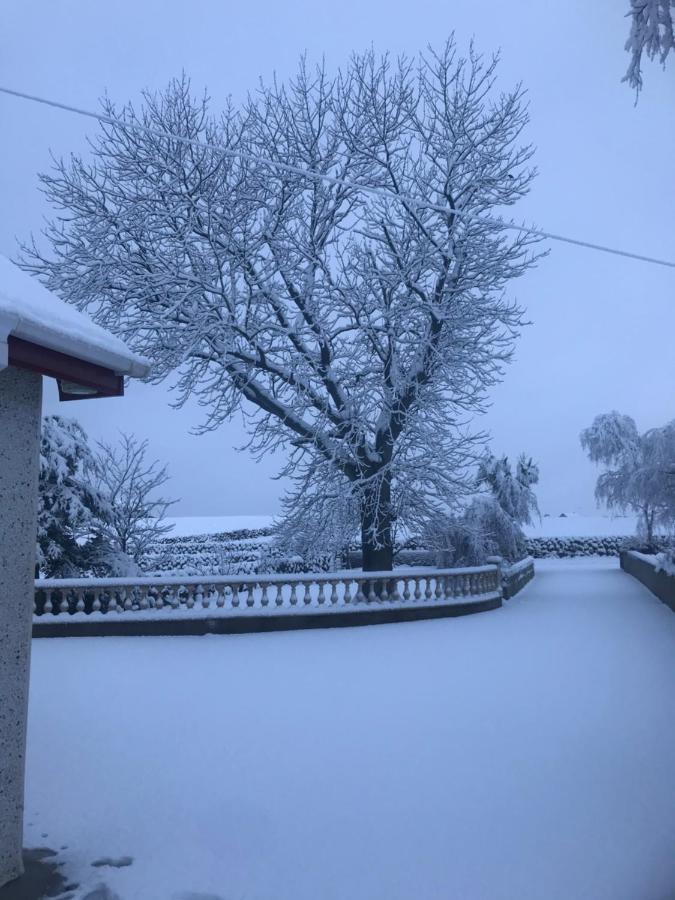 Lovely 2-Bed Cottage At The Foot Of The Mournes Newry Exteriör bild