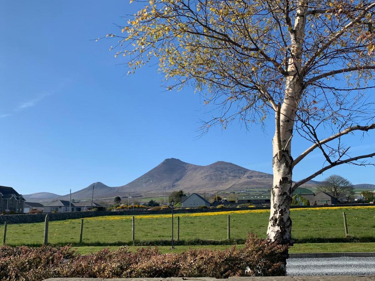 Lovely 2-Bed Cottage At The Foot Of The Mournes Newry Exteriör bild