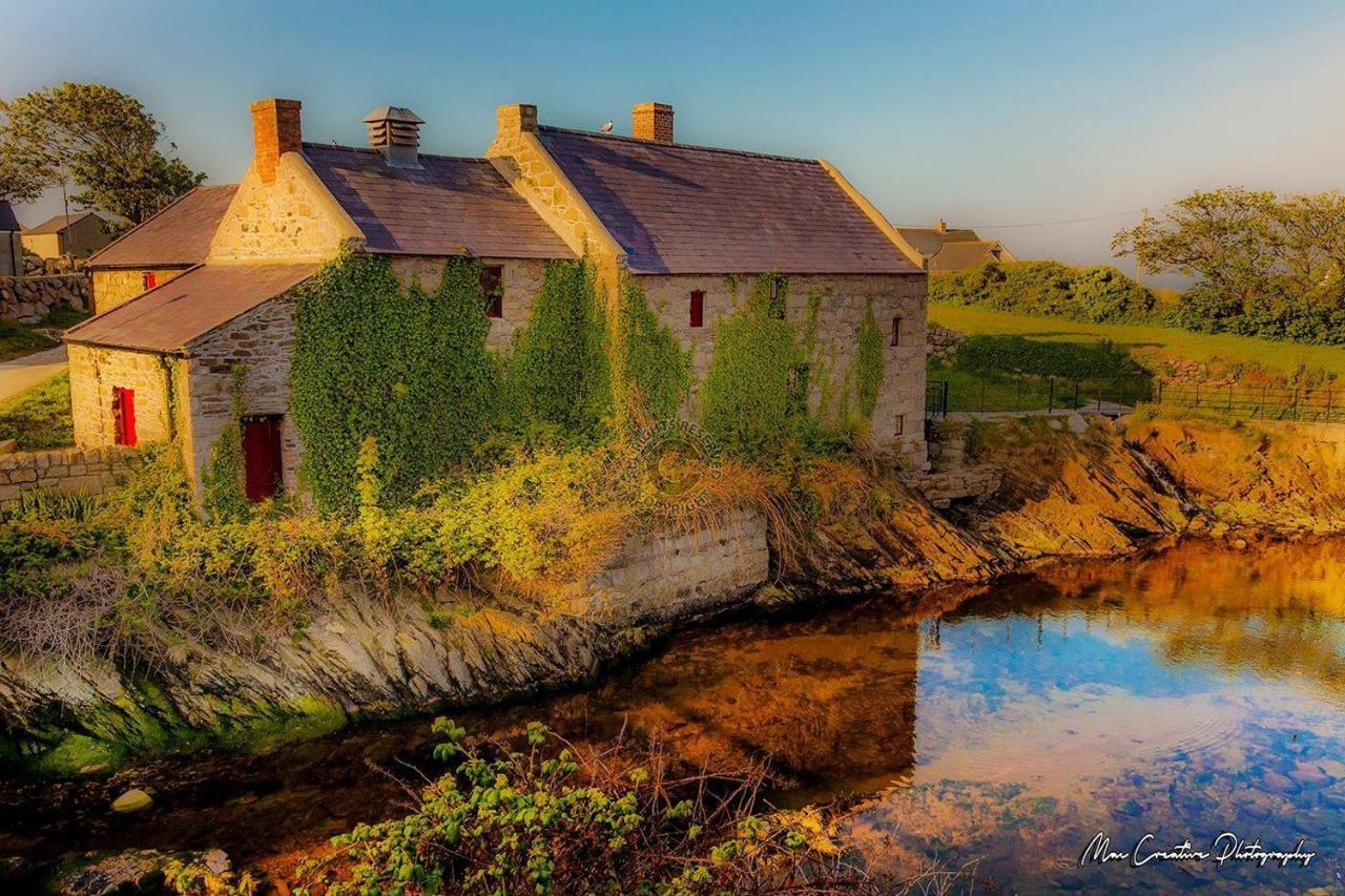 Lovely 2-Bed Cottage At The Foot Of The Mournes Newry Exteriör bild