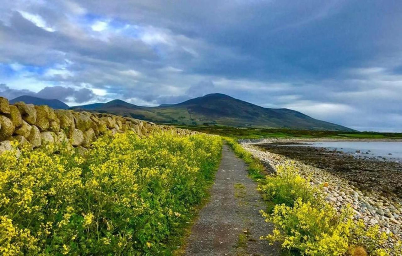 Lovely 2-Bed Cottage At The Foot Of The Mournes Newry Exteriör bild